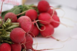 Garden of Five Senses-23