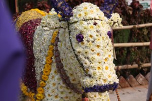 Garden of Five Senses