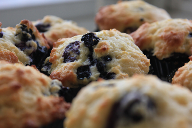 Blueberry Muffins