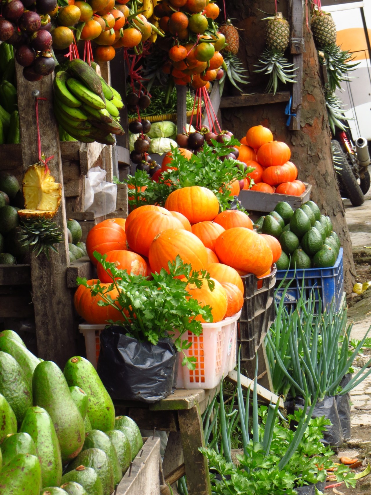 Uju at Tangkuban Perahu