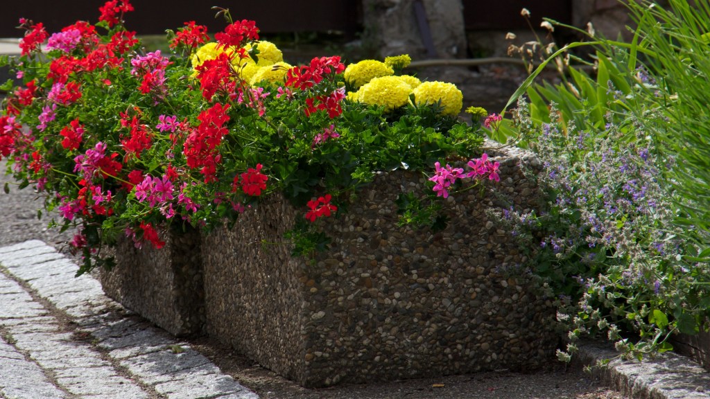 Day 1 - Walking in Scherwiller