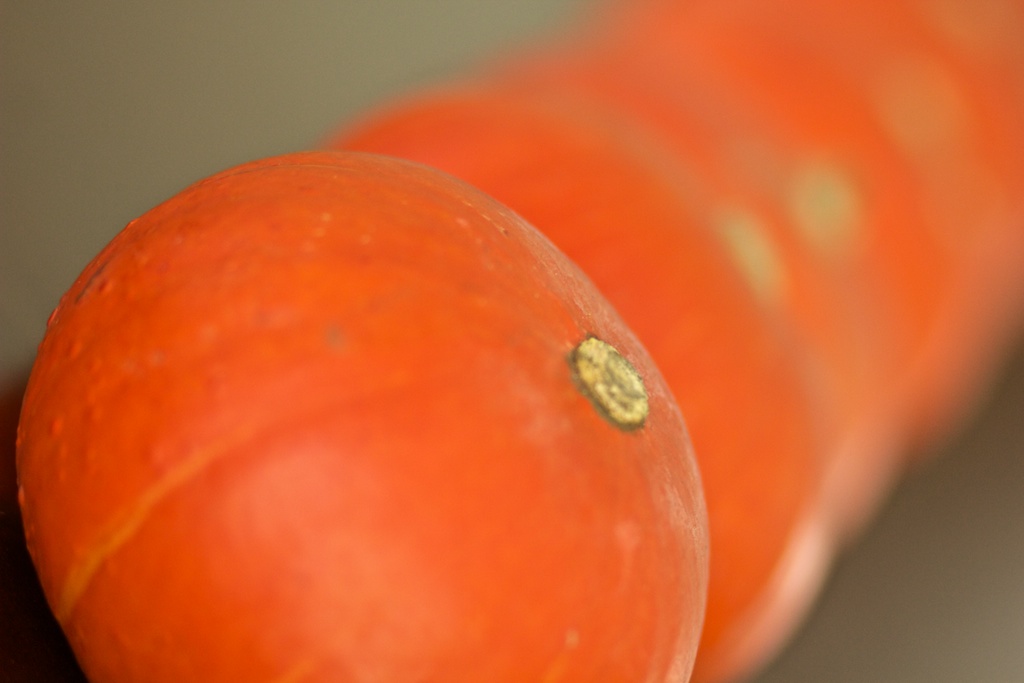 Weekly Photo Challenge: Variations on a&nbsp;Theme