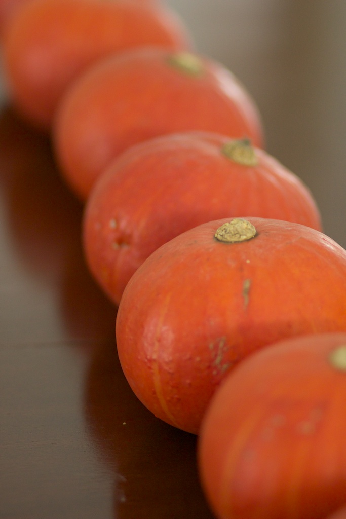 The Pumpkin Chronicles #5: Pumpkin & Chickpea&nbsp;Fritters