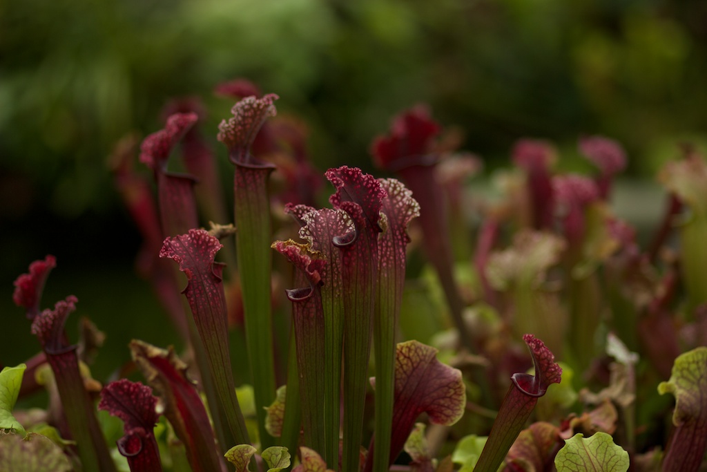 Pretty evil out&nbsp;there!