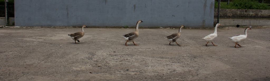 A Study Tour to&nbsp;Banten