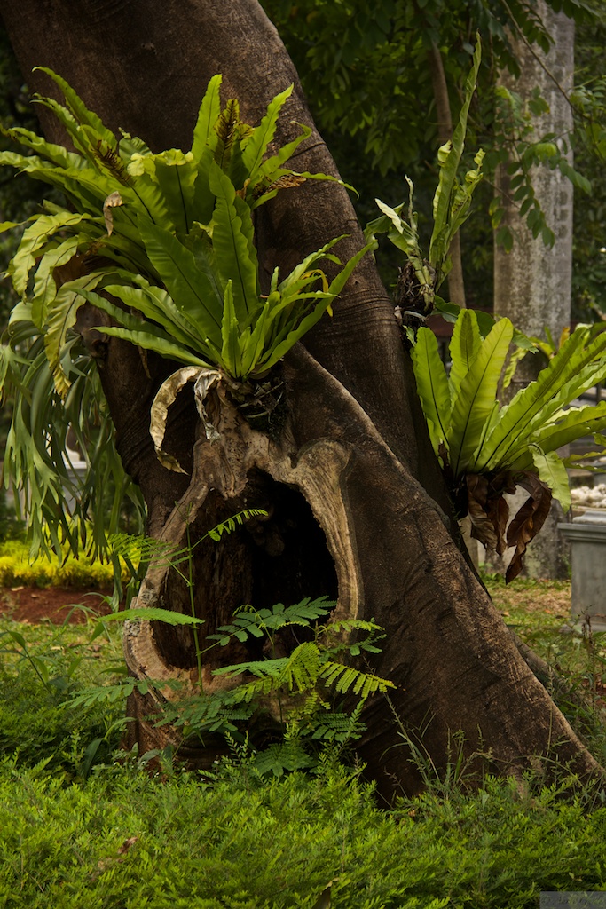 Photo walk Taman Prasasti