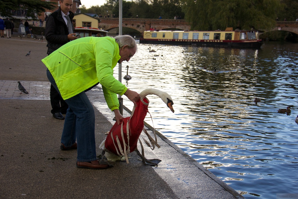 Walking around Stratford