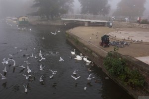 Walking around Stratford