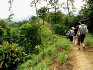 Hiking in Sentul