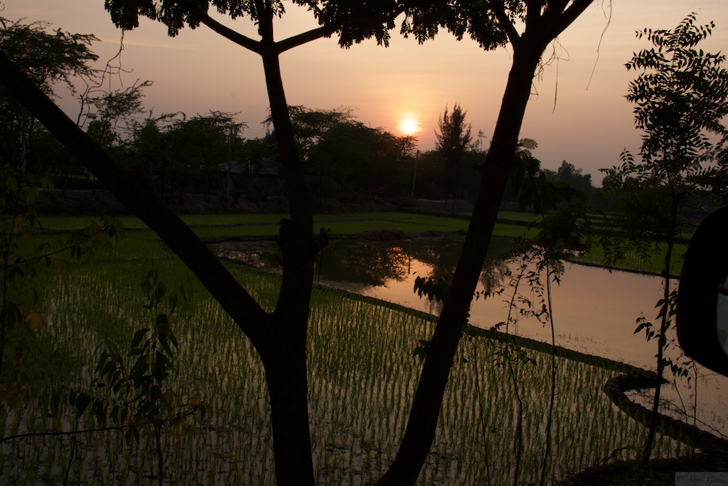 Tour around Sunderban