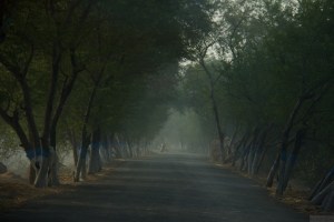 Tour around Sunderban