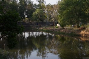 Tour around Sunderban