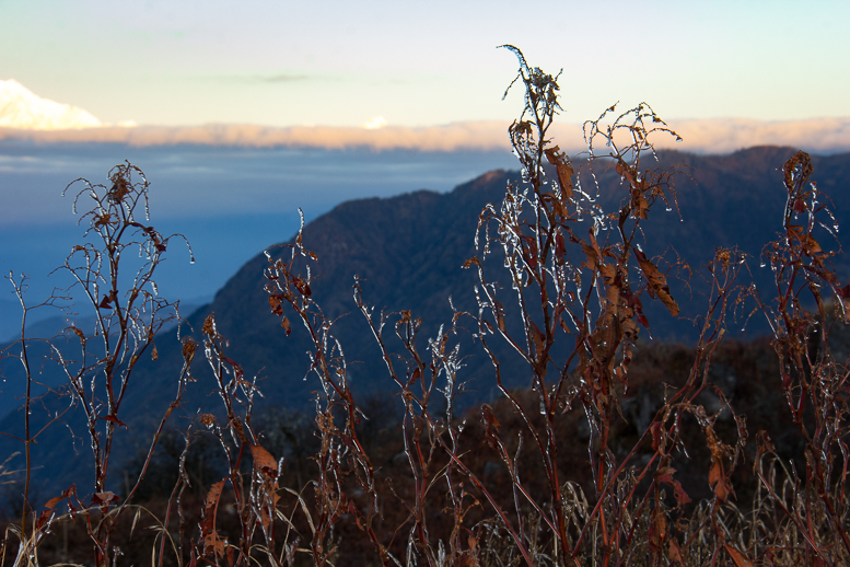 sikkim-31