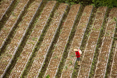 Step into the&nbsp;Field
