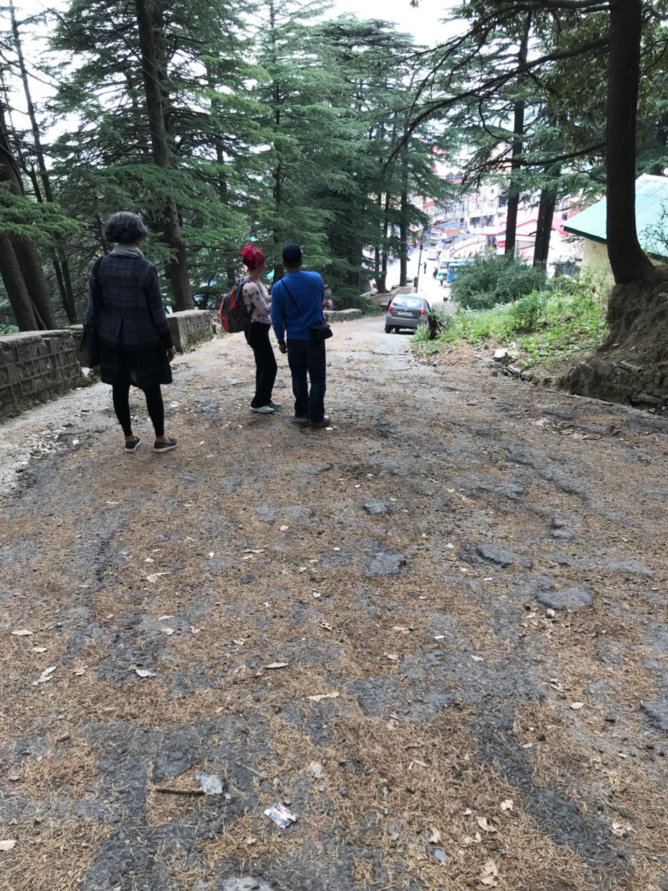 Shimla