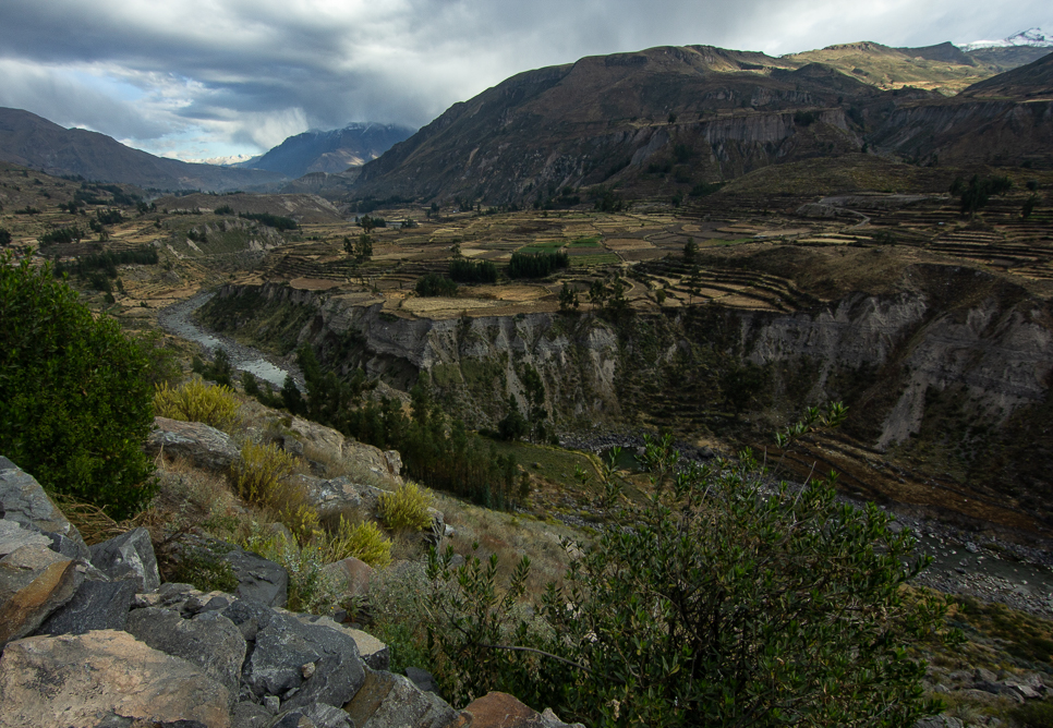 Colca-27