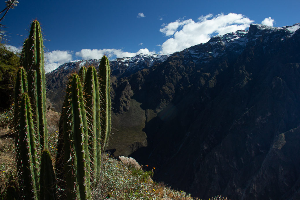Colca-52