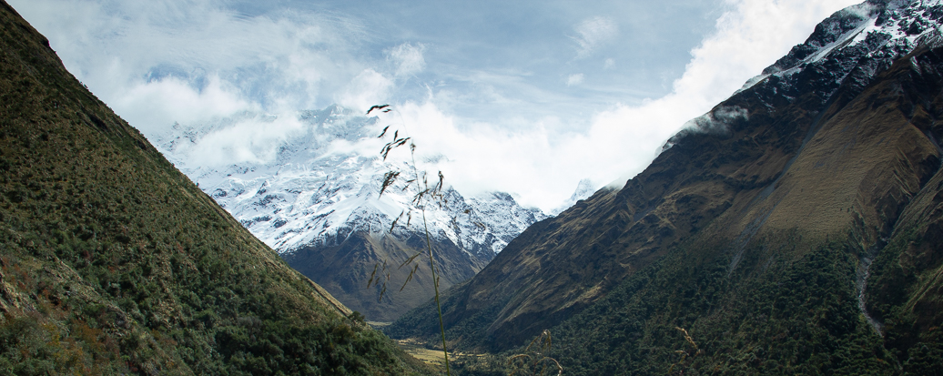 Voices in my&nbsp;head