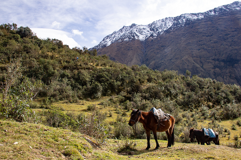 Salkantay trek-1 2