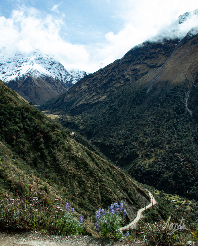 Salkantay trek-3