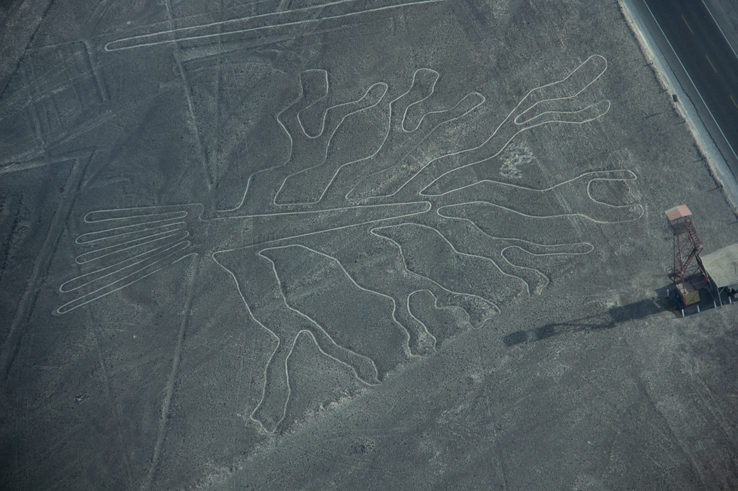 Nasca-16