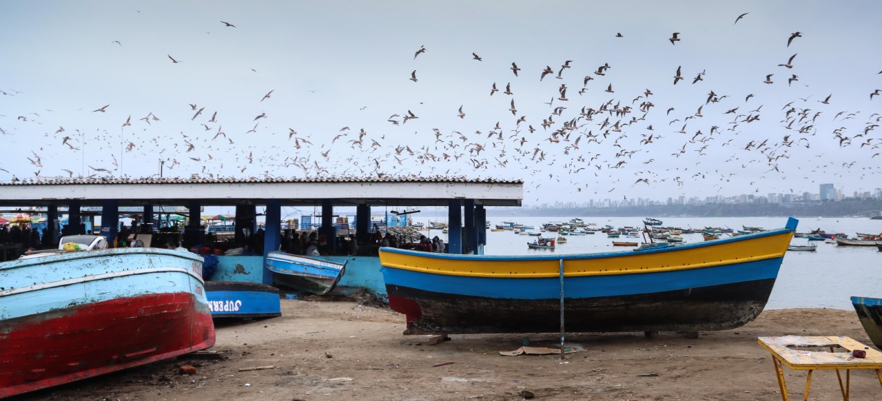 Photo Walk at Plaza de&nbsp;Pescadores