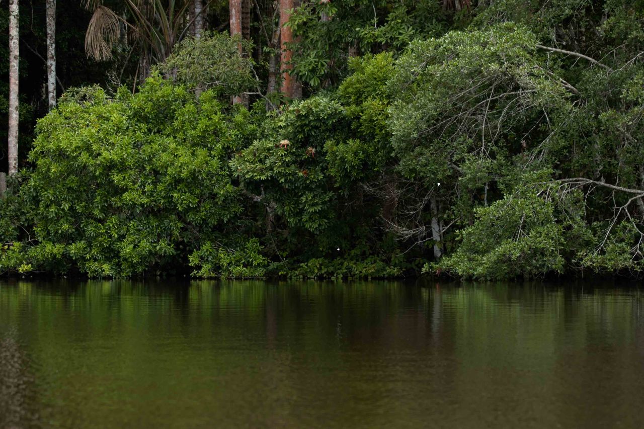 The Treasures of Lake&nbsp;Sandoval